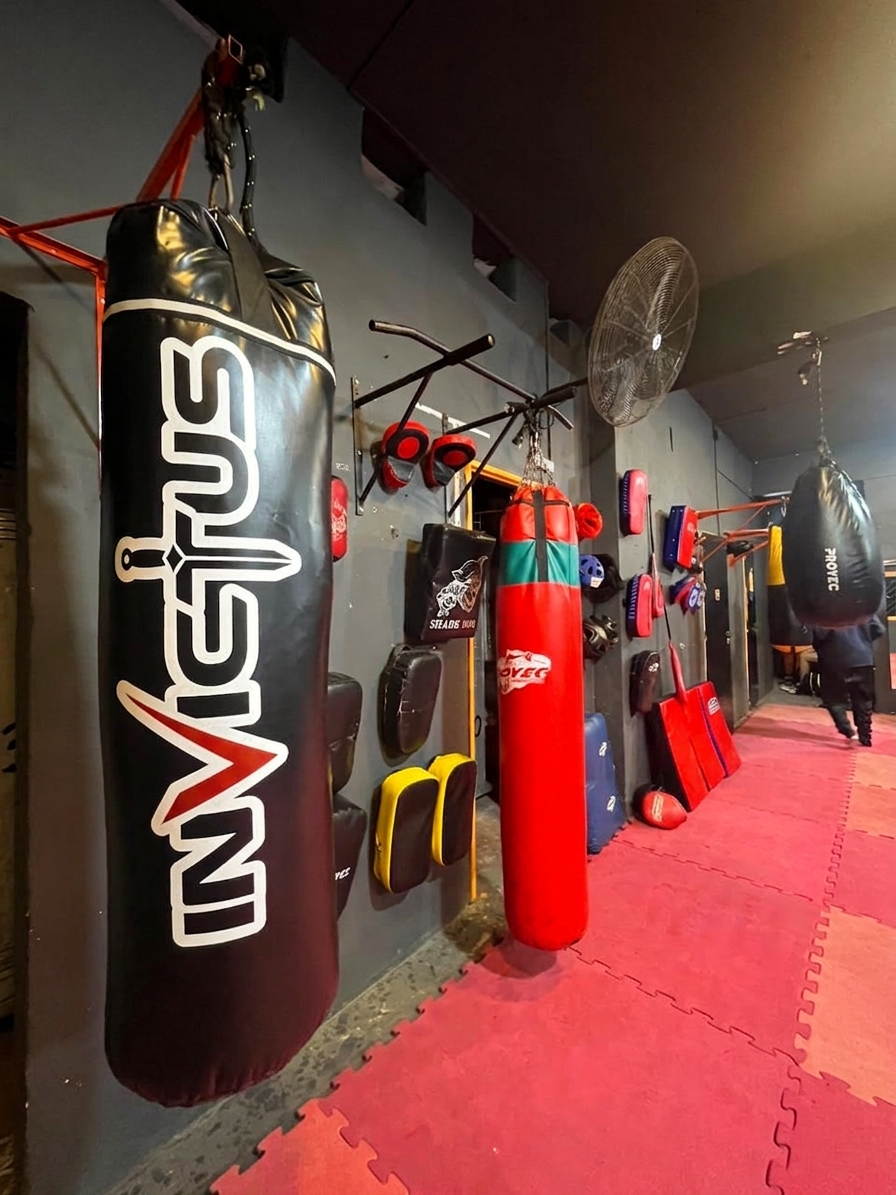 Iron Boxing Club - bolsas